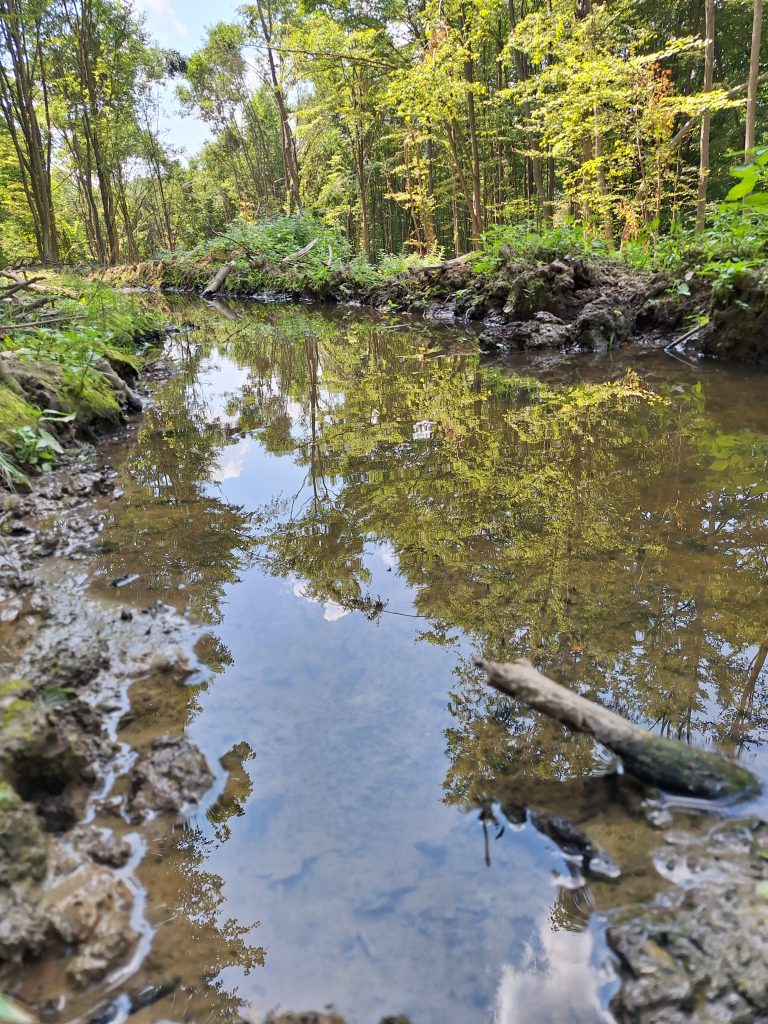 Hosszan nyúló víztükör