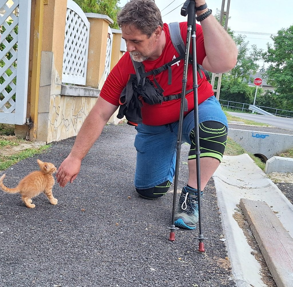 Kölyökcica és Feri