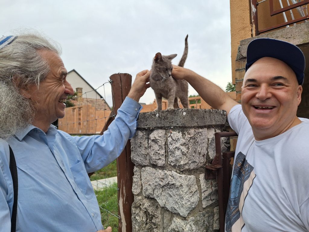 Frici, Gergő és a cica