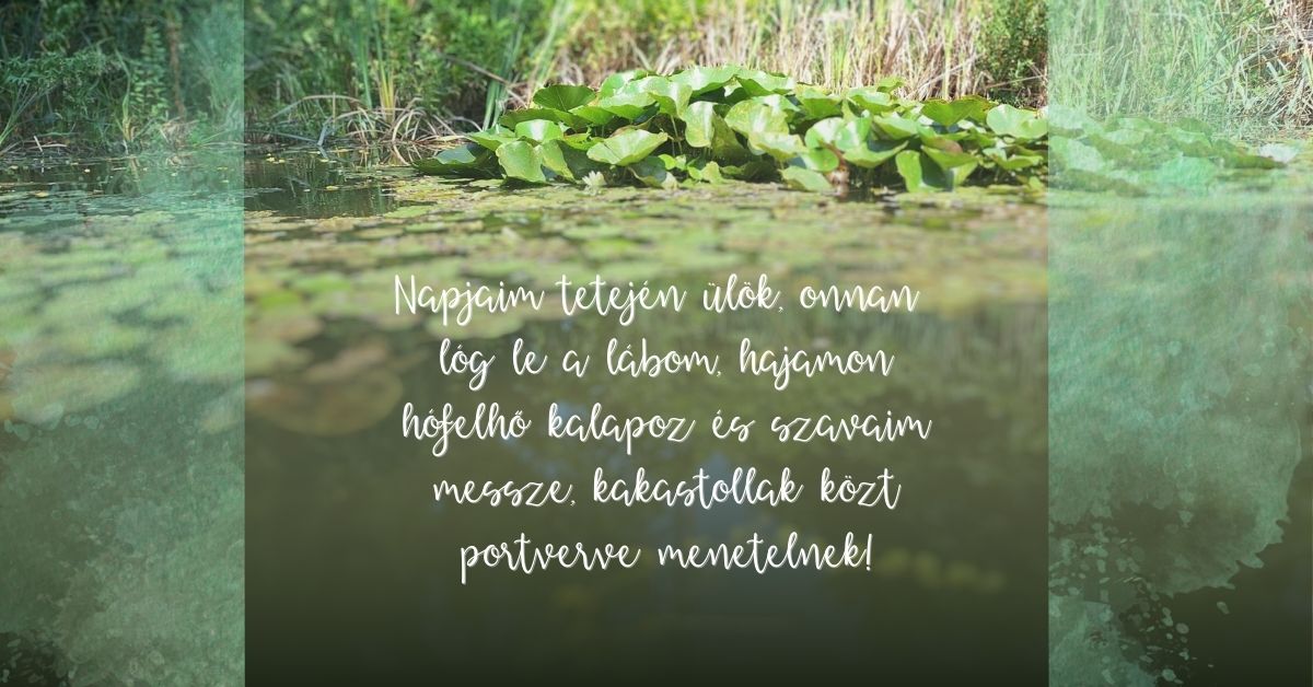 Tavacska képe versidézettel