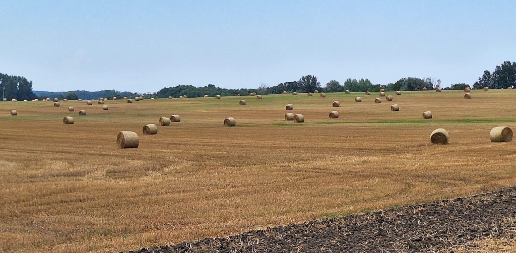 Szalmabálák az útmenti földeken