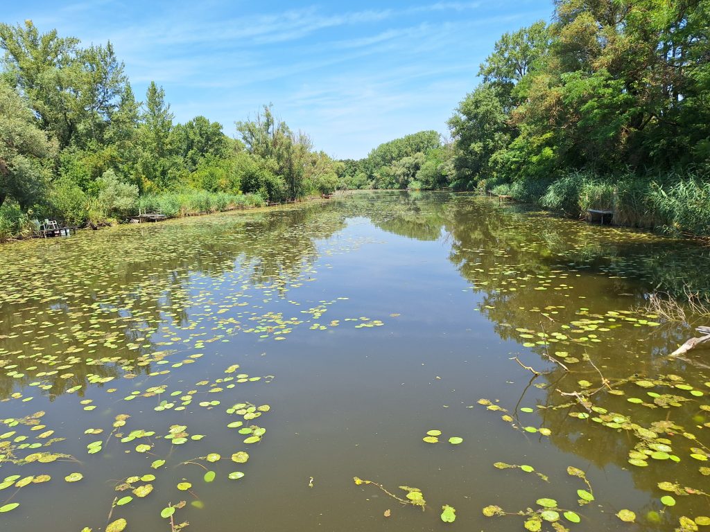 Tájkép a holtág hídjáról nézve