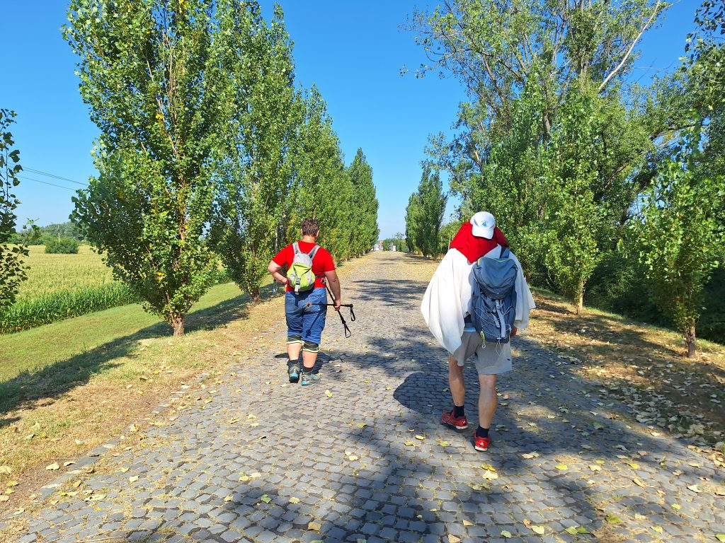 Feri és Gergő a fasorral szegélyezett macskaköves úton